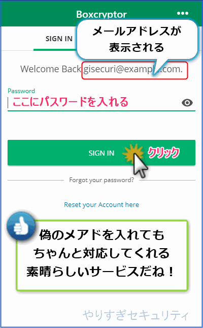 パスワード入力