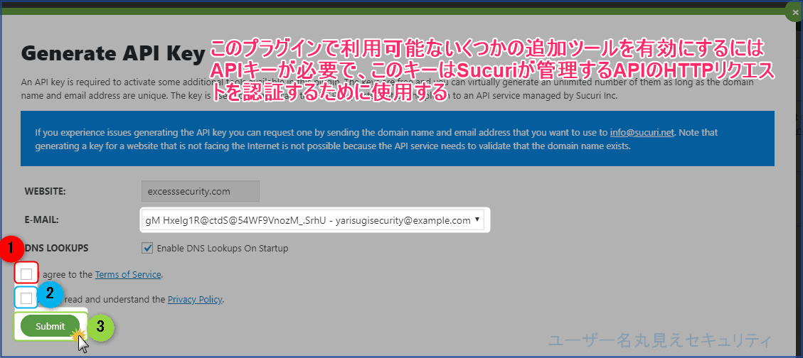 DNS LOOKUPSの下の2つにチェック、Submit