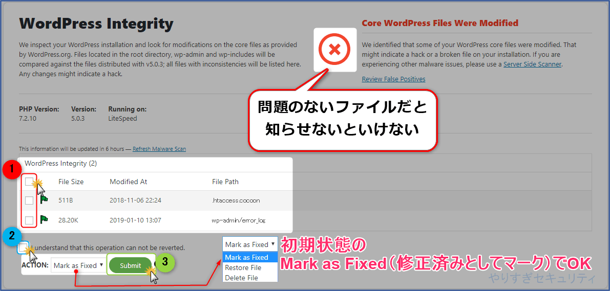 WordPress Integrity