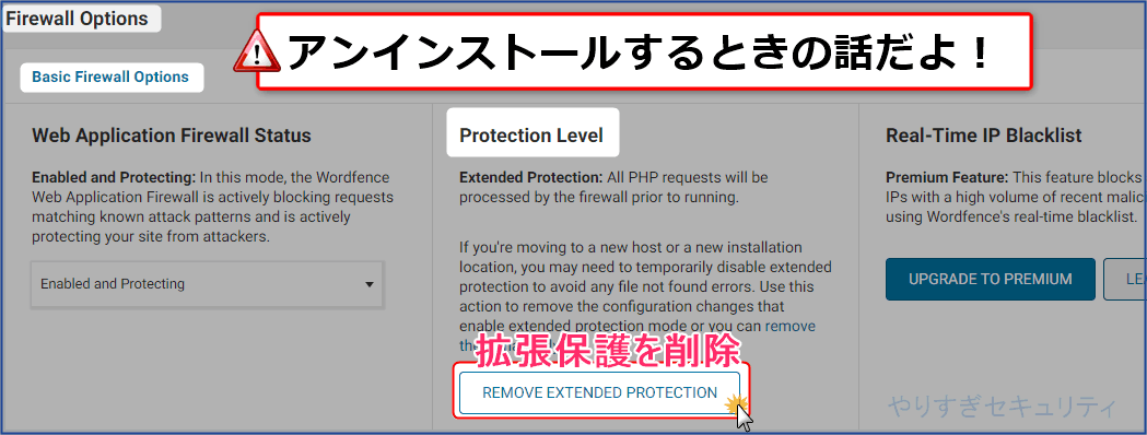 REMOVE EXTENDED PROTECTIONをクリック